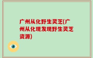 广州从化野生灵芝(广州从化现发现野生灵芝资源)