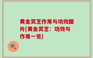 黄金灵芝作用与功效图片(黄金灵芝：功效与作用一览)