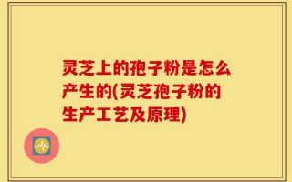 灵芝上的孢子粉是怎么产生的(灵芝孢子粉的生产工艺及原理)