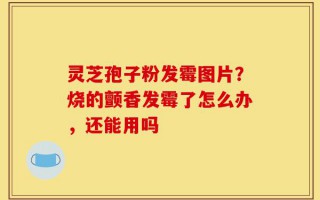灵芝孢子粉发霉图片？烧的颤香发霉了怎么办，还能用吗