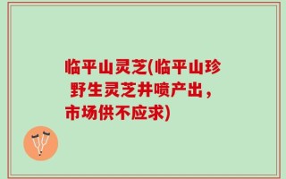 临平山灵芝(临平山珍 野生灵芝井喷产出，市场供不应求)