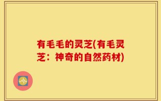 有毛毛的灵芝(有毛灵芝：神奇的自然药材)
