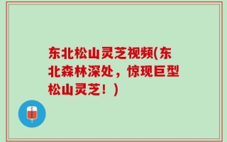东北松山灵芝视频(东北森林深处，惊现巨型松山灵芝！)