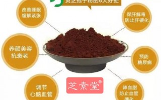 灵芝孢子粉的功用适合什么体质的人服用？