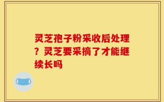 灵芝孢子粉采收后处理？灵芝要采摘了才能继续长吗