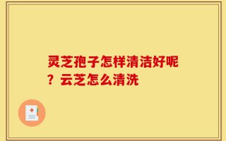 灵芝孢子怎样清洁好呢？云芝怎么清洗