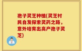 孢子灵芝种植(灵芝村民自发探索灵药之路，意外培育出高产孢子灵芝)