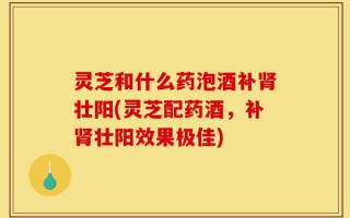 灵芝和什么药泡酒补肾壮阳(灵芝配药酒，补肾壮阳效果极佳)