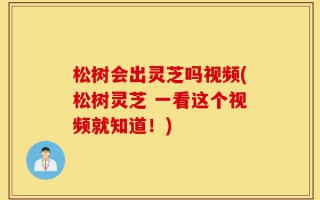 松树会出灵芝吗视频(松树灵芝 一看这个视频就知道！)