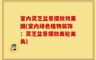 室内灵芝盆景摆放效果图(室内绿色植物装饰：灵芝盆景摆放美轮美奂)