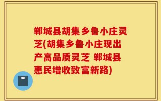郸城县胡集乡鲁小庄灵芝(胡集乡鲁小庄现出产高品质灵芝 郸城县惠民增收致富新路)