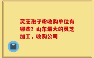 灵芝孢子粉收购单位有哪些？山东最大的灵芝加工，收购公司