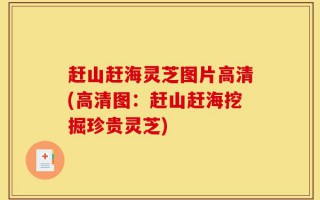 赶山赶海灵芝图片高清(高清图：赶山赶海挖掘珍贵灵芝)