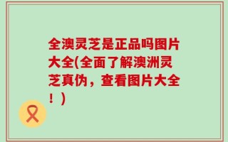 全澳灵芝是正品吗图片大全(全面了解澳洲灵芝真伪，查看图片大全！)
