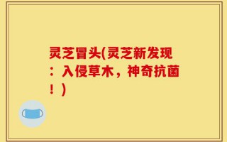 灵芝冒头(灵芝新发现：入侵草木，神奇抗菌！)