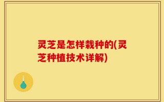 灵芝是怎样栽种的(灵芝种植技术详解)