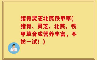 猪骨灵芝北芪铁甲草(猪骨、灵芝、北芪、铁甲草合成营养丰富，不妨一试！)
