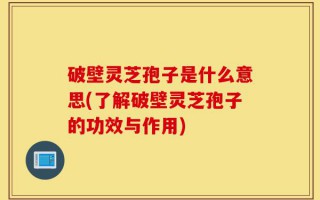 破壁灵芝孢子是什么意思(了解破壁灵芝孢子的功效与作用)
