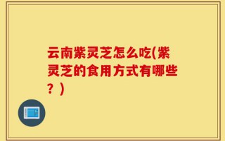 云南紫灵芝怎么吃(紫灵芝的食用方式有哪些？)