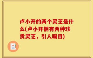 卢小开的两个灵芝是什么(卢小开拥有两种珍贵灵芝，引人瞩目)