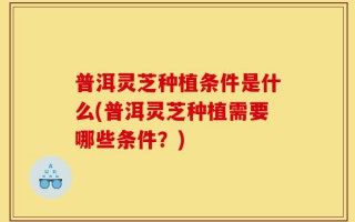 普洱灵芝种植条件是什么(普洱灵芝种植需要哪些条件？)
