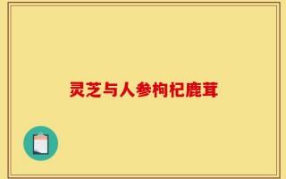 灵芝与人参枸杞鹿茸