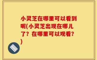 小灵芝在哪里可以看到呢(小灵芝出现在哪儿了？在哪里可以观看？)