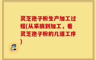 灵芝孢子粉生产加工过程(从采摘到加工，看灵芝孢子粉的几道工序)