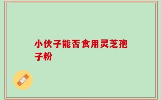 小伙子能否食用灵芝孢子粉