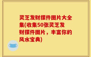 灵芝发财摆件图片大全集(收集50张灵芝发财摆件图片，丰富你的风水宝典)