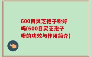 600目灵芝孢子粉好吗(600目灵芝孢子粉的功效与作用简介)