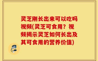 灵芝刚长出来可以吃吗视频(灵芝可食用？视频揭示灵芝如何长出及其可食用的营养价值)