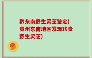 黔东南野生灵芝鉴定(贵州东南地区发现珍贵野生灵芝)