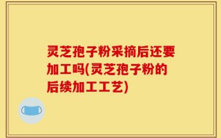 灵芝孢子粉采摘后还要加工吗(灵芝孢子粉的后续加工工艺)