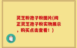 灵芝粉孢子粉图片(纯正灵芝孢子粉实物展示，购买点击查看！)