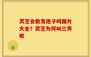 灵芝会散发孢子吗图片大全？灵芝为何叫三秀呢