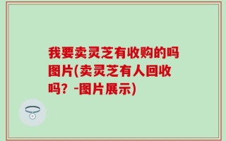 我要卖灵芝有收购的吗图片(卖灵芝有人回收吗？-图片展示)