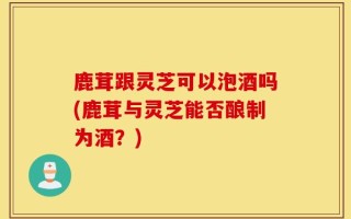 鹿茸跟灵芝可以泡酒吗(鹿茸与灵芝能否酿制为酒？)