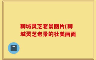 聊城灵芝老景图片(聊城灵芝老景的壮美画面