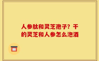 人参肽和灵芝孢子？干的灵芝和人参怎么泡酒