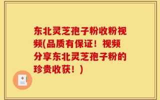 东北灵芝孢子粉收粉视频(品质有保证！视频分享东北灵芝孢子粉的珍贵收获！)