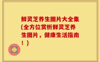 鲜灵芝养生图片大全集(全方位赏析鲜灵芝养生图片，健康生活指南！)