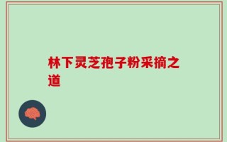 林下灵芝孢子粉采摘之道
