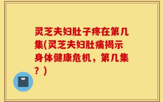 灵芝夫妇肚子疼在第几集(灵芝夫妇肚痛揭示身体健康危机，第几集？)