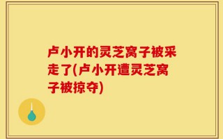 卢小开的灵芝窝子被采走了(卢小开遭灵芝窝子被掠夺)