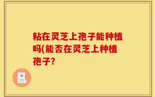 粘在灵芝上孢子能种植吗(能否在灵芝上种植孢子？