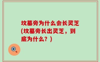 坟墓旁为什么会长灵芝(坟墓旁长出灵芝，到底为什么？)