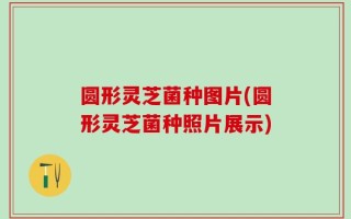 圆形灵芝菌种图片(圆形灵芝菌种照片展示)
