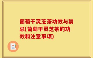 葡萄干灵芝茶功效与禁忌(葡萄干灵芝茶的功效和注意事项)