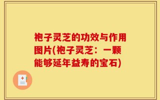 袍子灵芝的功效与作用图片(袍子灵芝：一颗能够延年益寿的宝石)